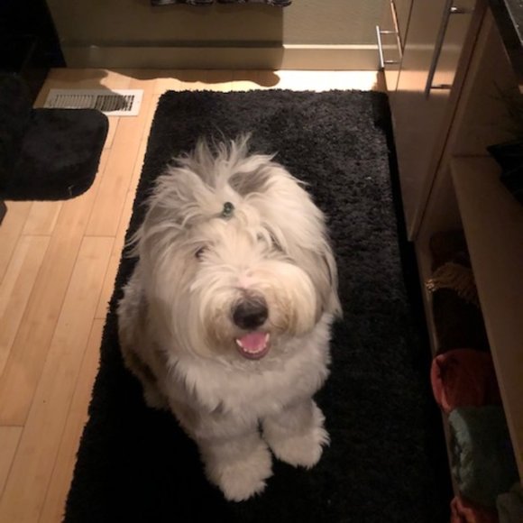 Meet your posher! - Picture 2 of 3